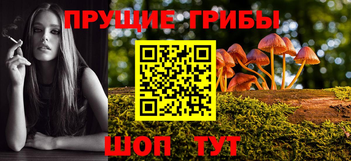 Галлюциногенные грибы мухоморы Городец