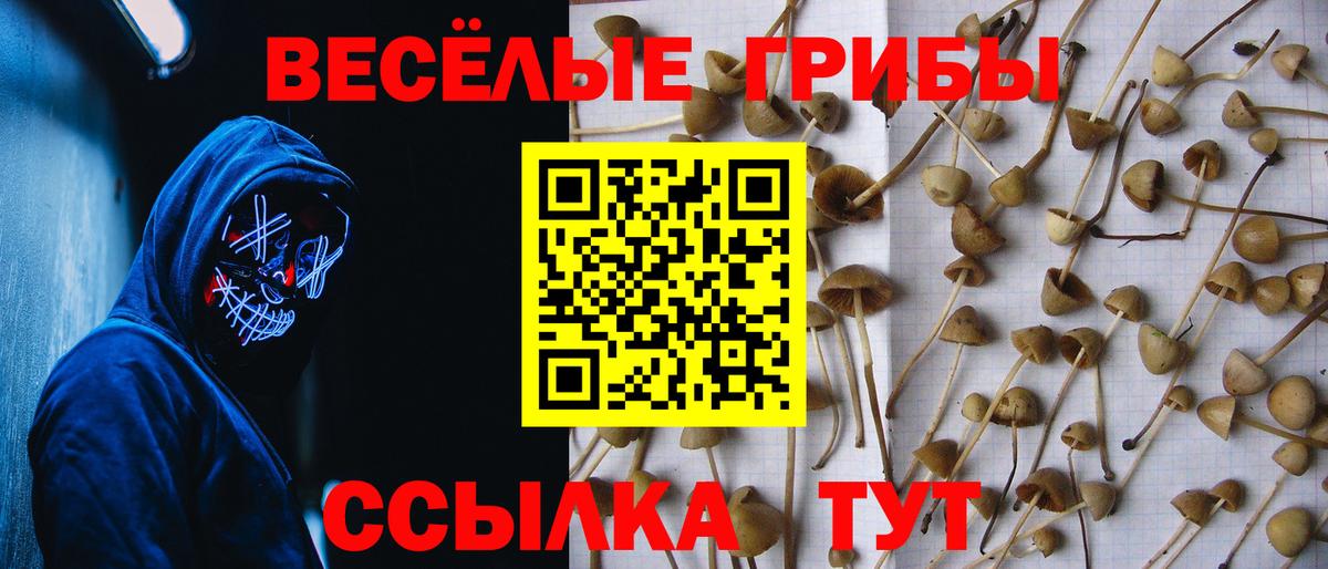 Псилоцибиновые грибы Magic Shrooms  Вход с VPN  Псилоцибиновые грибы мицелий  Городец 
