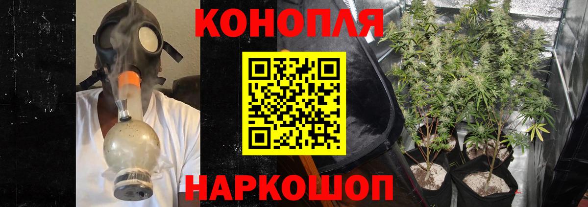 Бошки Шишки семена  Вход с VPN  Городец  Бошки Шишки Amnesia  Бошки Шишки конопля 